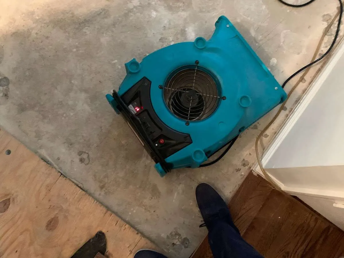 Air mover drying subfloor during Leak Detection & Repair in Palmer